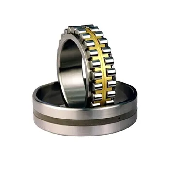 Double Row Cylindrical Roller Bearings